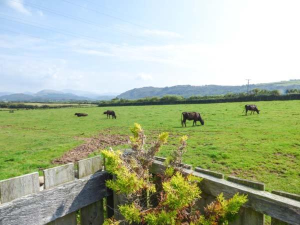 Surprise View Vila Holmrook Exterior foto